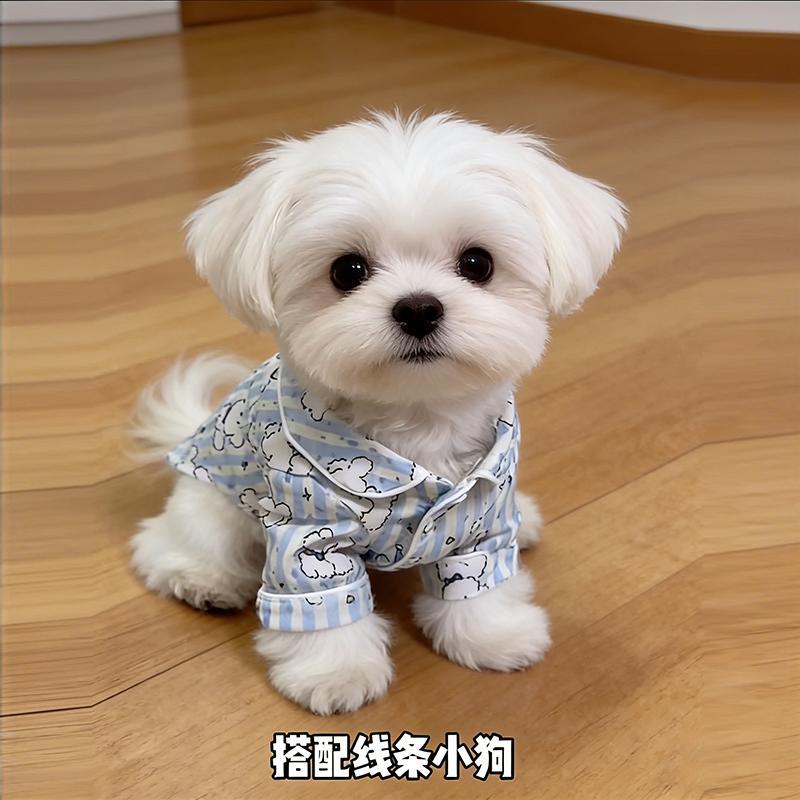 Ropa de Protección Solar para Mascotas Anticaída de Pelo y Ligera para Verano y Hogar image 6