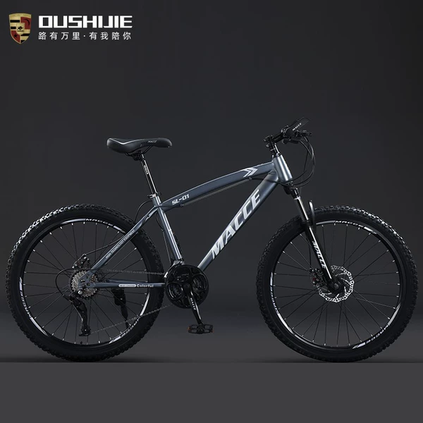 Silver-gray bike spokes, deluxe edition