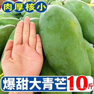 �V���خa��â���������5�����r�Fժ�����ЋD��Ұˮ��������]