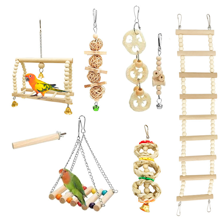 Toy, set, swings, ladder, can bite