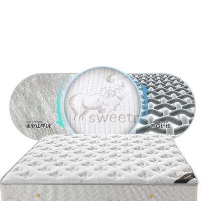 席梦思弹簧床垫乳胶椰棕20加厚经济型1.8床2米双人软硬两用垫