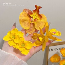 �羳��ȼ��L���滨�l���Շ����Sɫ�p������l�A��߅�A�����A�l�