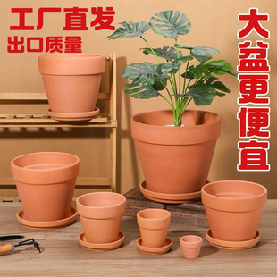 �t�ջ������Զ������m����Gֲ͸�⺆�s��������ˮ������