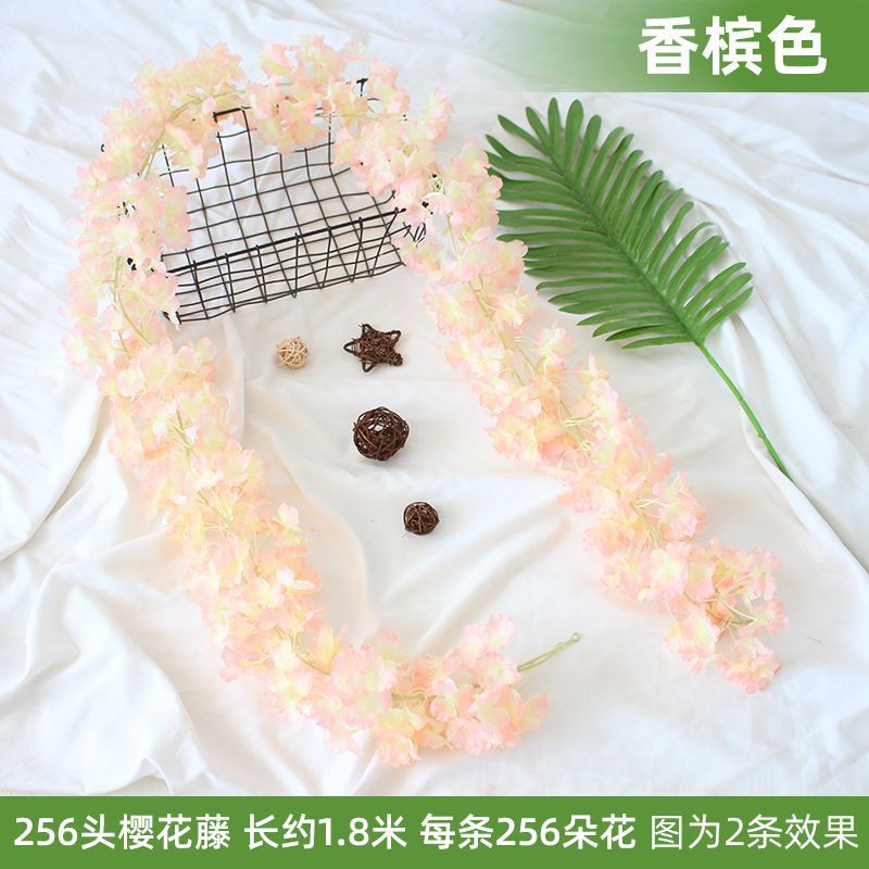 256 머리 샴페인 벚꽃 1
