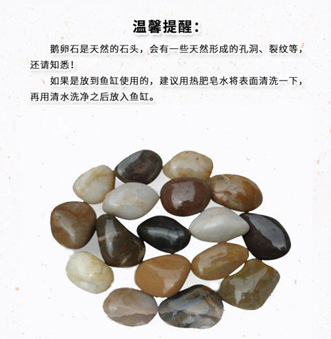 16e07c58-4795-4398-b4d3-f1b6101a4305.jpe