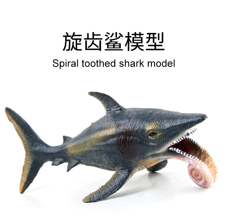详情_01.jpg