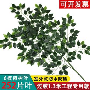 �Ř��~�^�z�����Ř�֦�Gɫֲ���~�Ӵ�֦�٘�֦�����b��쾰��