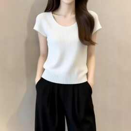仅用于产品展示勿拍-欧货白色冰丝针织短袖T恤女2026新款夏季漂亮