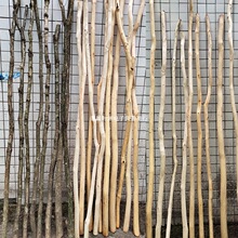 ��ȻȥƤ��ľ�ɘ�֦�ݘ��֦�b��U�����U���໨ƿ���͸ɻ�