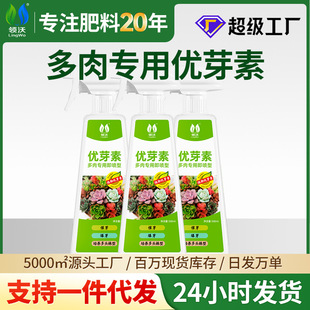 Specialized Growth-Promoting Nutrient Solution for Succulents and Flowers, Promoting Side Shoots and Germination
