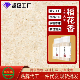 �|���������2̖����500���L�����峣�������׏S�Ҵ��l���l����