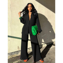 V 15505 Solid Pleated Wide Leg Two-piece Set ��ɫ����������