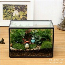 ✅厂家直销批发微景观玻璃花房 花瓶混批多肉肉肉植物器皿欧美工