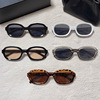 Retro sunglasses, trend fashionable glasses, 2022 collection, European style, Korean style