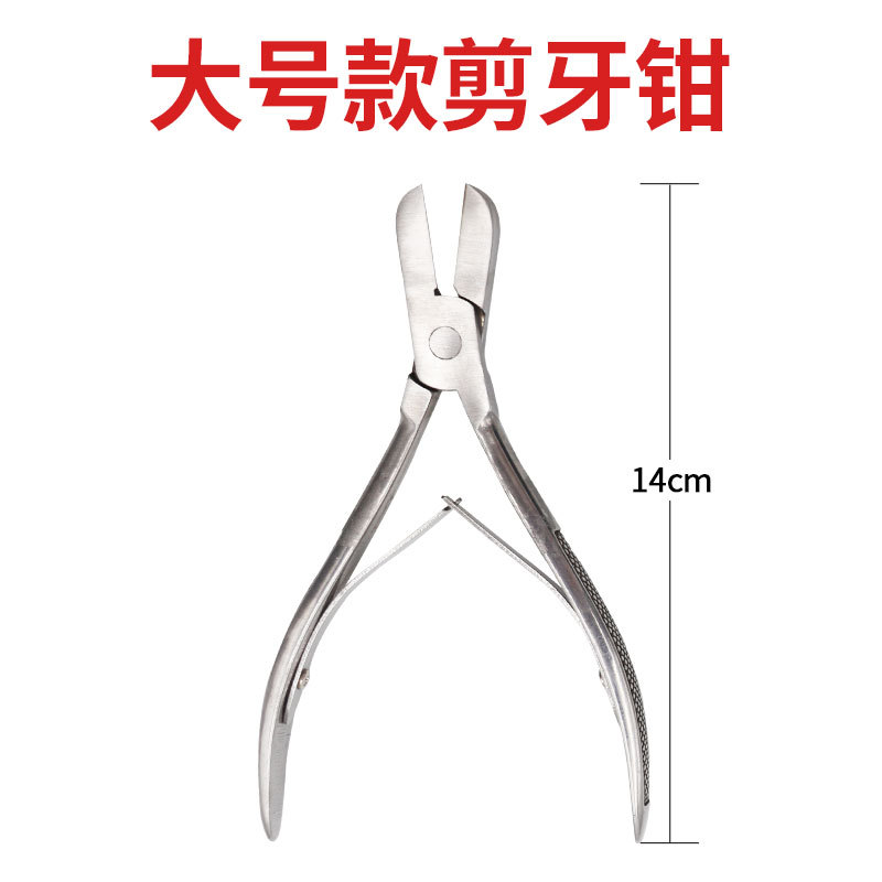 Alicates de corte de dientes de cochinillo de codo recto Tipo de metralla alicates de corte de dientes de acero inoxidable de tamaño pequeño alicates de corte de dientes de cerdo grande