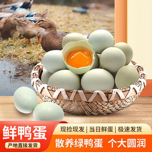 �r��������20���b��ˮ�һ������rɢ�B�������ՏS�����l���B����