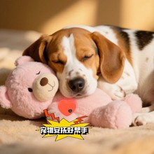 ���ﹷģ�M�����п羳���N��齹�]ͨ����߻��Ӱ��b���s����