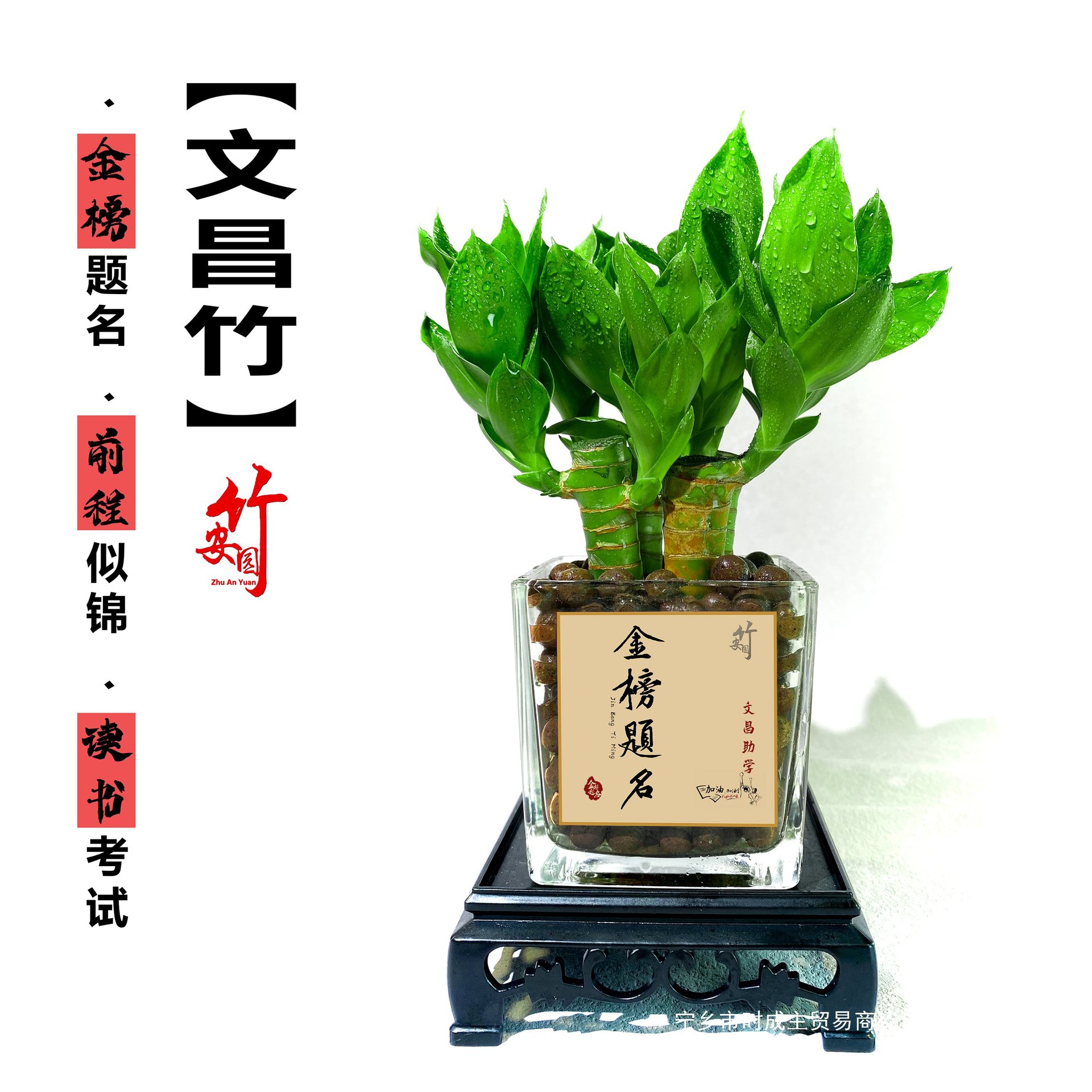 Wenchang bamboo four branches of rich bamboo with roots flowers and…