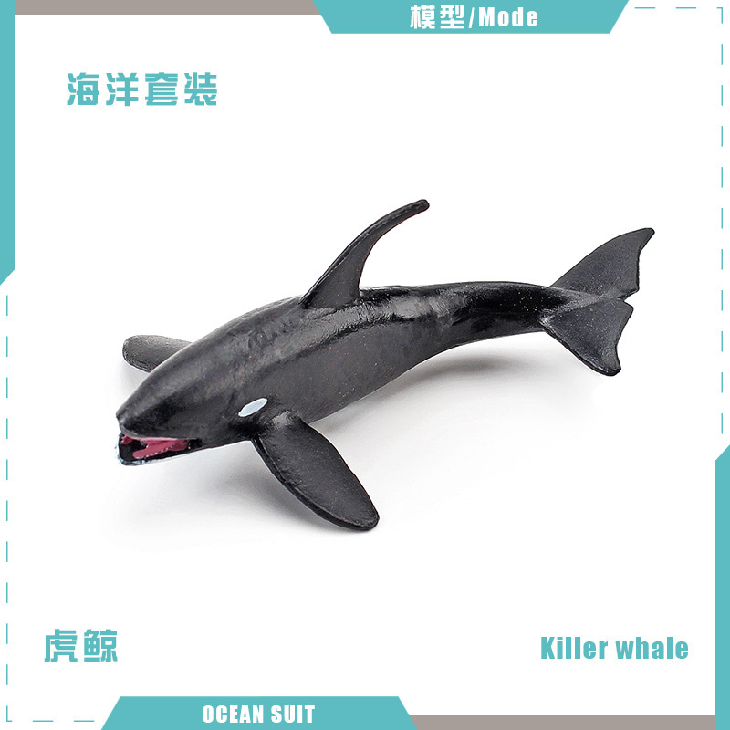 BL-5154 ballena asesina 6G