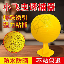 ��ω��Ғ���x�����T�x���ӷ����T�x��ճ�x�r��ճ�z�̽�������x