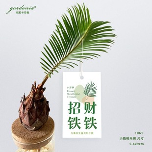 �F���A�Gֲ����ˮ��С�F��С�K�F�����k����������ؔ�쿨�����޶�
