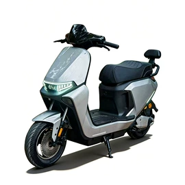 电动自行车;电动摩托车;其他电动车