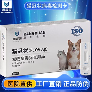 弥留之国