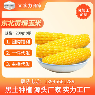����|�����SŴ����8���θ�����SŴ����ճ����