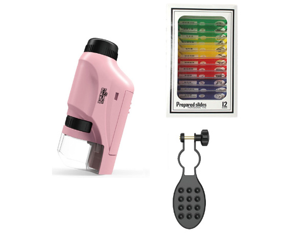 (영어) * 핑크 색 표본 휴대 전화 홀더