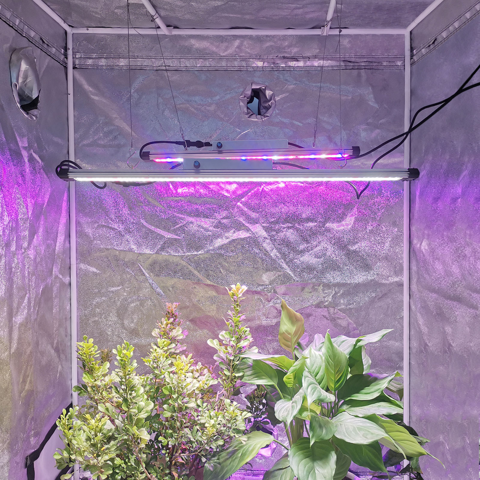 ҿ羳0.6m 1.2mȫ״LEDֲƴIP65ˮֲ