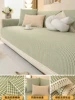 Su Ying-Cardamom green