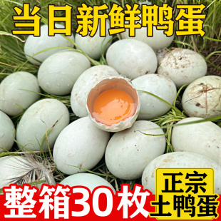 ���r���������������r��ɢ�B�����������r�����������B�����r����