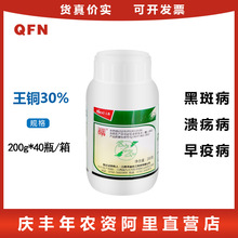 禾益泰青30%王铜 人参黑斑病柑橘树溃病番茄早疫病农药杀菌剂