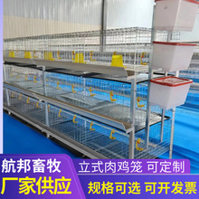 ���u�\�������w���u�\�Ӽ������u�\���r�\����\�ӯBʽ���u�\����