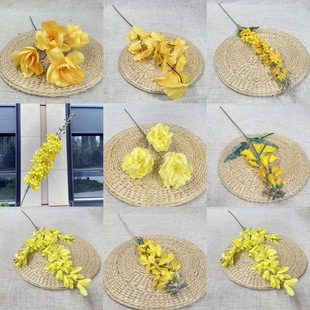 ��}̎�� �Sɫϵ ��c��Y�û���  ��픵��Ż�