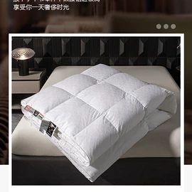 其他枕芯;被套;羽绒被