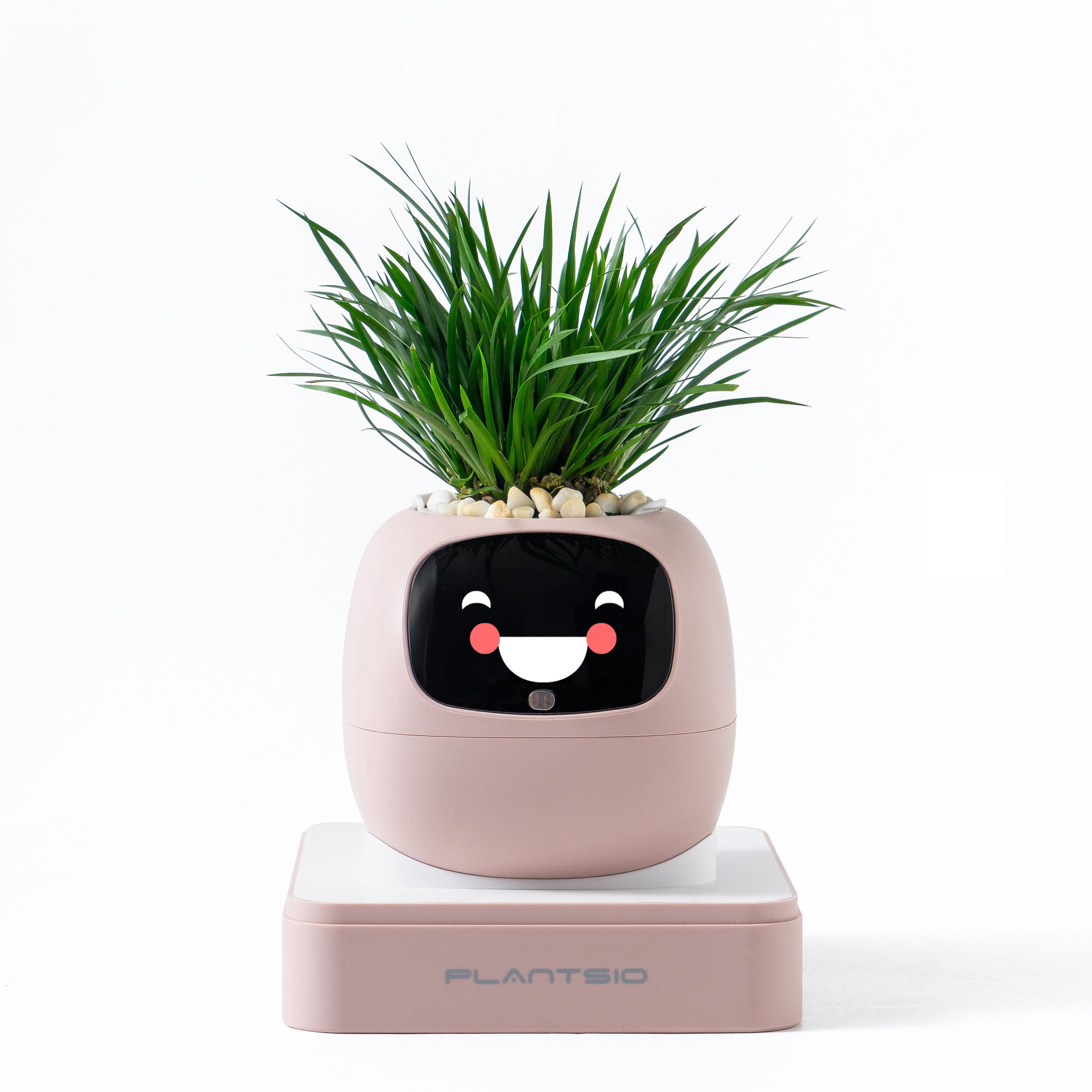 Intelligent automatic pet mood robot flower pot