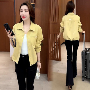 �r��ţ�ж�����Ů2025�����¿�����@�݌������e�ٴ�I�A���r��