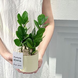 ѩ�F����X���k���҃ȾGֲ���Ժ��B�_�I����ͶY�羳���S؛Դ���l