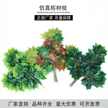 仿真榕树叶手感过胶塑料榕树枝绿色植物叶子假树枝工程装饰造景