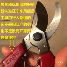 东风修枝剪园艺剪果树剪花枝花艺剪盆景剪剪刀修剪树枝老牌子军霞