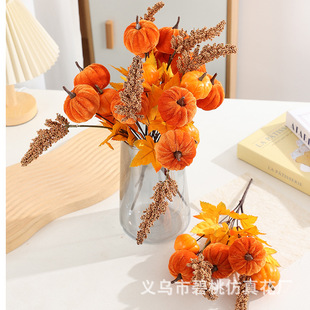 �F؛�羳���R�d�S�չ��f�}���T̨���Ϲϸж����b�����~�Ϲ�֦