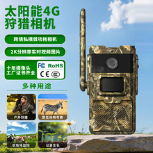 ���嶯��������Ұ���Ӧɭ��4G̫���ܷ�ˮ��غ���׷���������