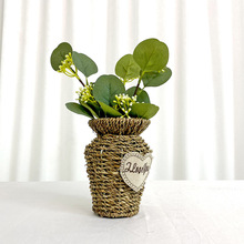 ��������~ �����ȼ�����֦ ����Gֲ���X�~�M���ǻ��^�Ҿ��b�