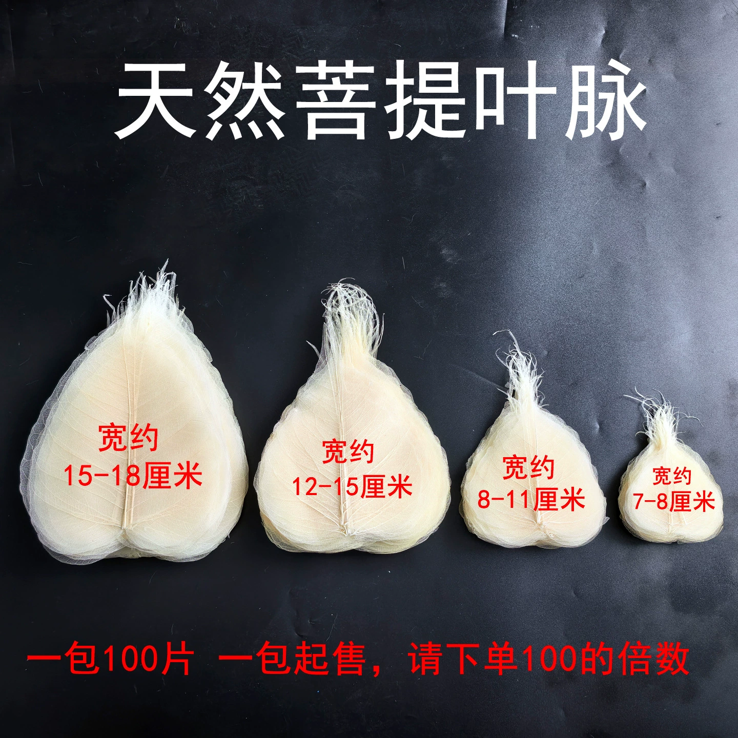 Натуральные листья цикады с прожилками, настоящие листья для декора, фотосъемки, рукоделия, украшения ресторанов, поделок для учащихся начальной школы, наклейки ручной работы