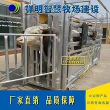 ţ������ţ�i�ϴ����N�̶��ܿ�ţ�^�����÷Q������݆��������ɫ