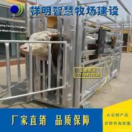 牛保定架牛颈枷打针配种固定架卡牛头可配置称重器带轮子祥明白色