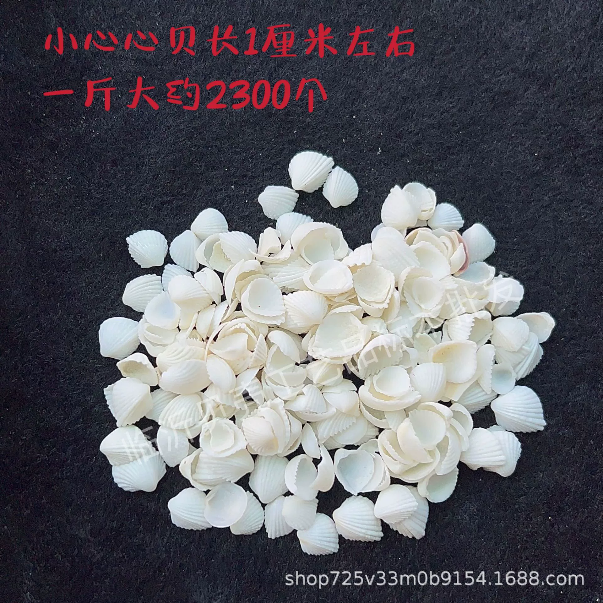 Shell Natural Shell Conch Stars Drifting Bottle Shell Crafts Wholesale Diy Handmade Shell Materials