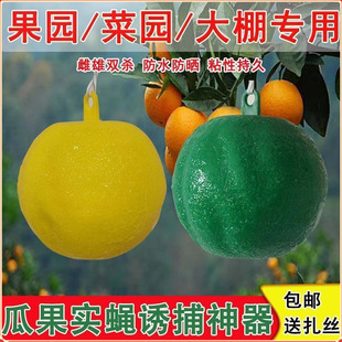 Fruit Fly Device, Citrus Fly Trap Ball, Sticky Fly Ball, Insect Trap Ball, Fruit Fly Adhesive Board, Needle Bee Mosquito Killer