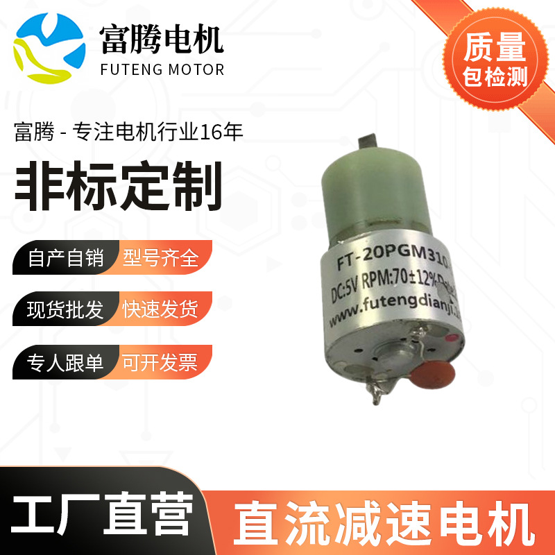 厂家供应直流减速电机 玉米棒卷发器电机 FT微型直流有刷电机马达